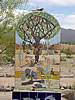 Nature Spirits Altar - Top