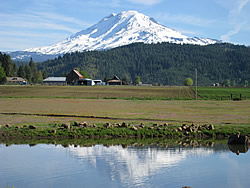 Photo of Mt. Adams