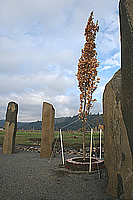 The Sacred Tree